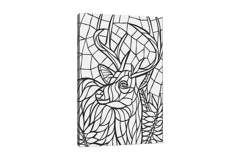 Dekorativ Canvasbilde 30x40 cm, Hvit|Svart