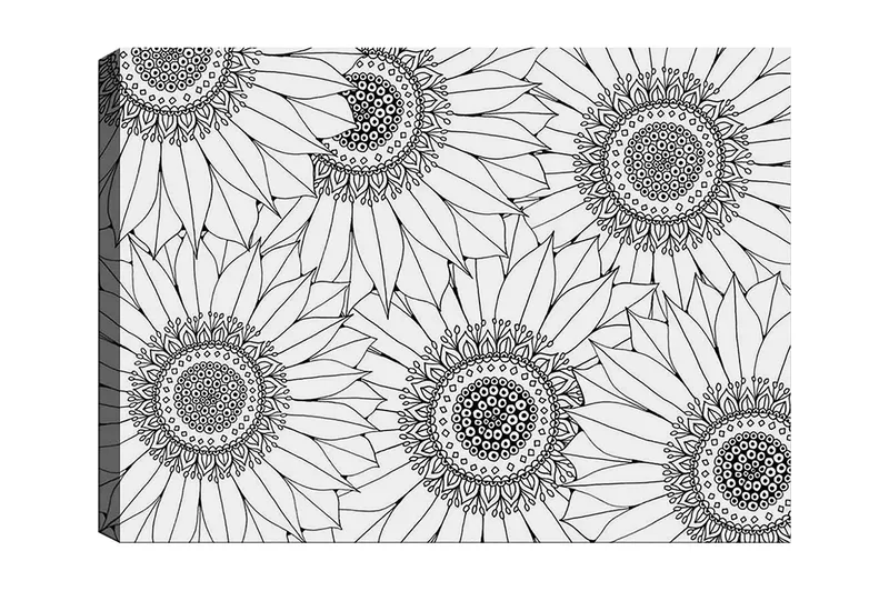 Dekorativ Canvasbilde 30x40 cm, Hvit|Svart