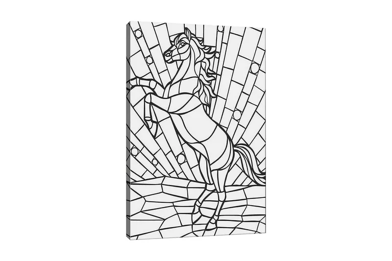 Dekorativ Canvasbilde 30x40 cm, Hvit|Svart