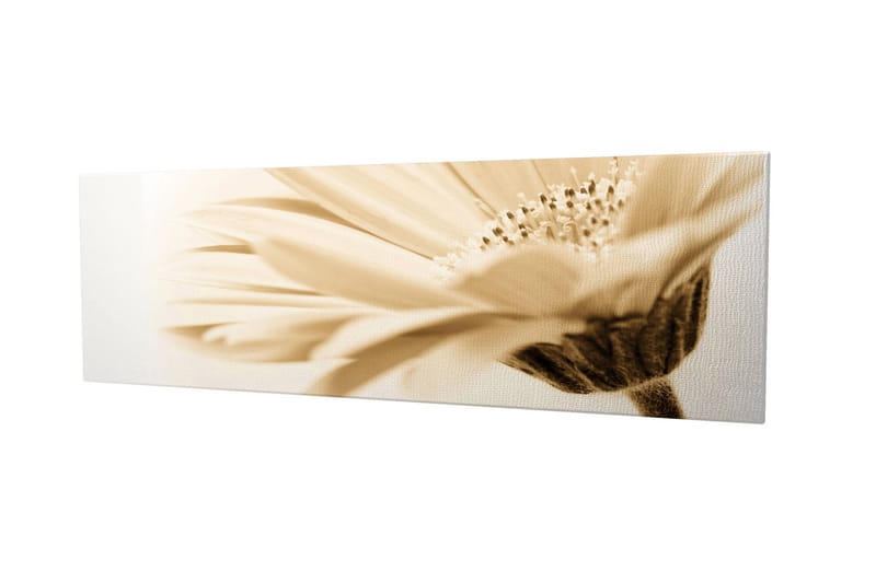 Dekorativ Canvasbilde 30x80 cm - Flerfarget - Interiør - Maleri & posters - Lerretsbilder