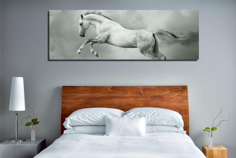 Dekorativ Canvasbilde 30x80 cm - Flerfarget - Interiør - Maleri & posters - Lerretsbilder
