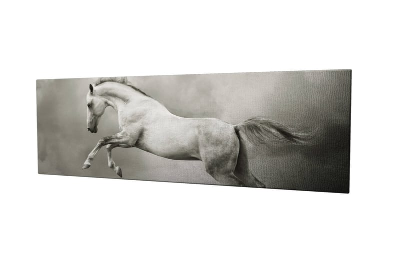 Dekorativ Canvasbilde 30x80 cm - Flerfarget - Interiør - Maleri & posters - Lerretsbilder