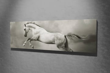 Dekorativ Canvasbilde 30x80 cm - Flerfarget - Interiør - Maleri & posters - Lerretsbilder