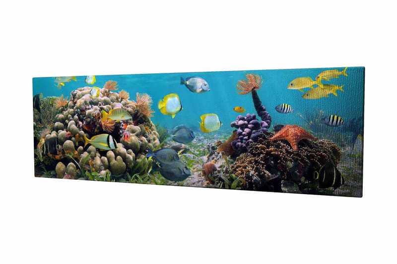 Dekorativ Canvasbilde 30x80 cm - Flerfarget - Interiør - Maleri & posters - Lerretsbilder