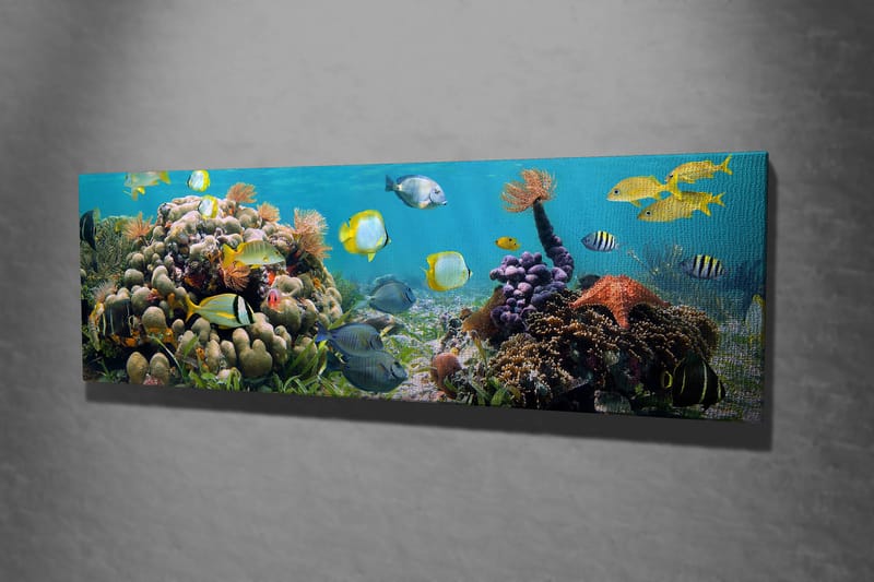 Dekorativ Canvasbilde 30x80 cm - Flerfarget - Interiør - Maleri & posters - Lerretsbilder
