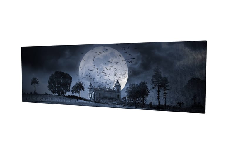 Dekorativ Canvasbilde 30x80 cm - Flerfarget - Interiør - Maleri & posters - Lerretsbilder