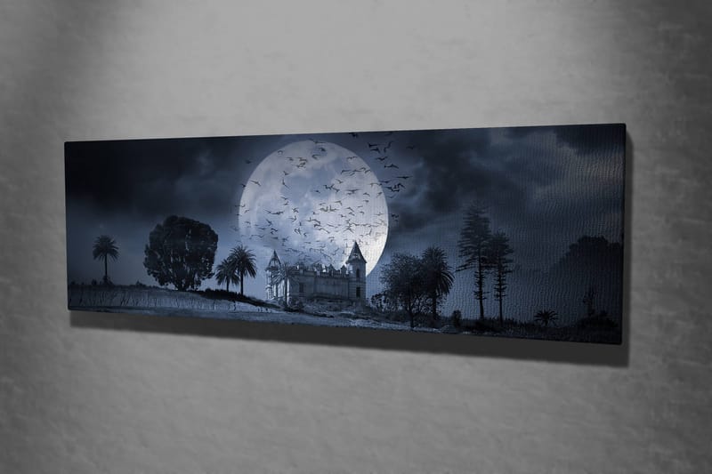 Dekorativ Canvasbilde 30x80 cm - Flerfarget - Interiør - Maleri & posters - Lerretsbilder
