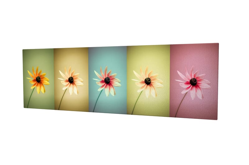 Dekorativ Canvasbilde 30x80 cm - Flerfarget - Interiør - Maleri & posters - Lerretsbilder