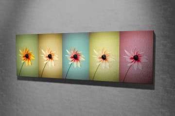 Dekorativ Canvasbilde 30x80 cm - Flerfarget - Interiør - Maleri & posters - Lerretsbilder