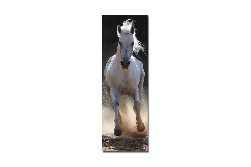 Dekorativ Canvasbilde 30x90 cm - Flerfarget - Interiør - Maleri & posters - Lerretsbilder