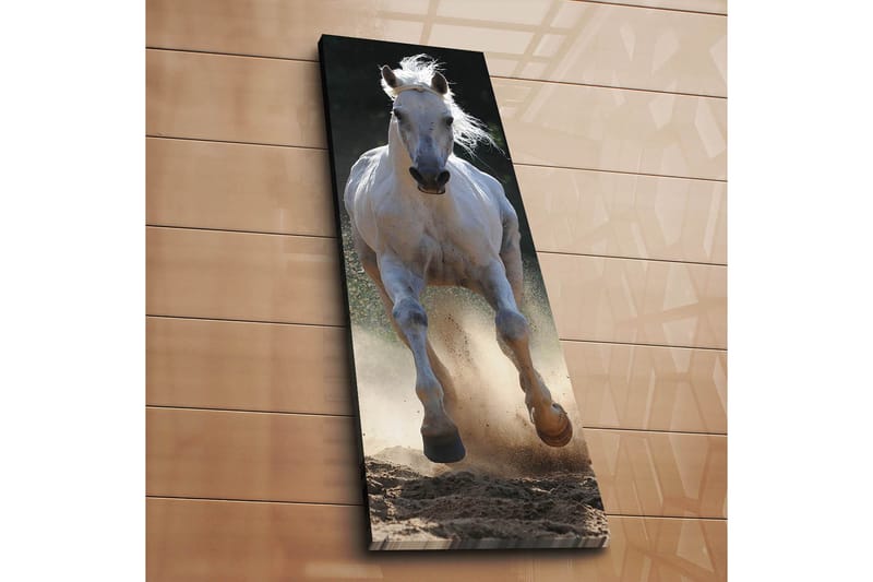 Dekorativ Canvasbilde 30x90 cm - Flerfarget - Interiør - Maleri & posters - Lerretsbilder