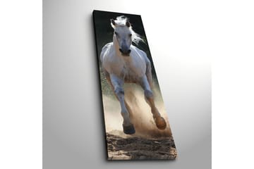 Dekorativ Canvasbilde 30x90 cm - Flerfarget - Interiør - Maleri & posters - Lerretsbilder