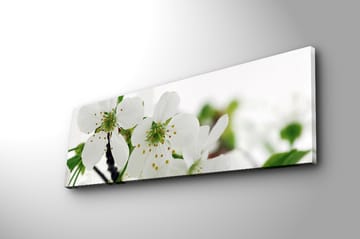 Dekorativ Canvasbilde 30x90 cm - Flerfarget - Interiør - Maleri & posters - Lerretsbilder