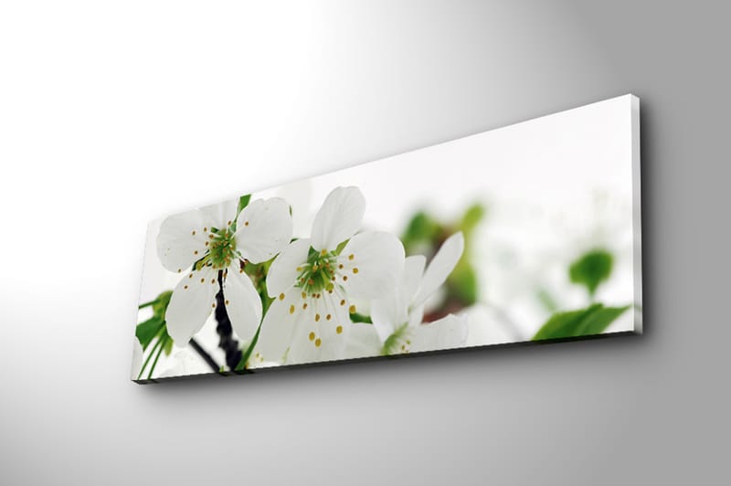 Dekorativ Canvasbilde 30x90 cm - Flerfarget - Interiør - Maleri & posters - Lerretsbilder