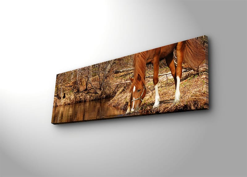 Dekorativ Canvasbilde 30x90 cm - Flerfarget - Interiør - Maleri & posters - Lerretsbilder