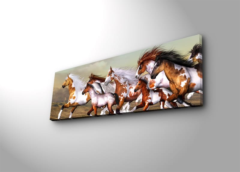 Dekorativ Canvasbilde 30x90 cm - Flerfarget - Interiør - Maleri & posters - Lerretsbilder