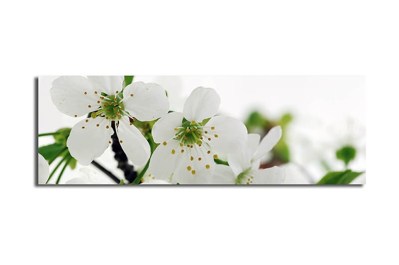 Dekorativ Canvasbilde 30x90 cm, Flerfarget