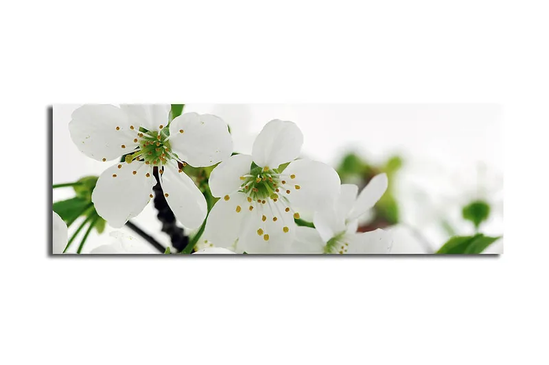 Dekorativ Canvasbilde 30x90 cm, Flerfarget