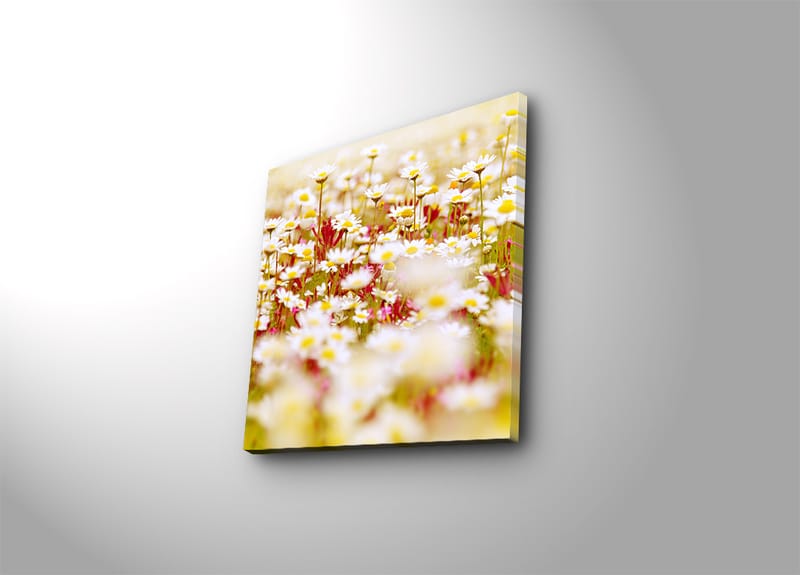 Dekorativ Canvasbilde 45x45 cm - Flerfarget - Interiør - Maleri & posters - Lerretsbilder