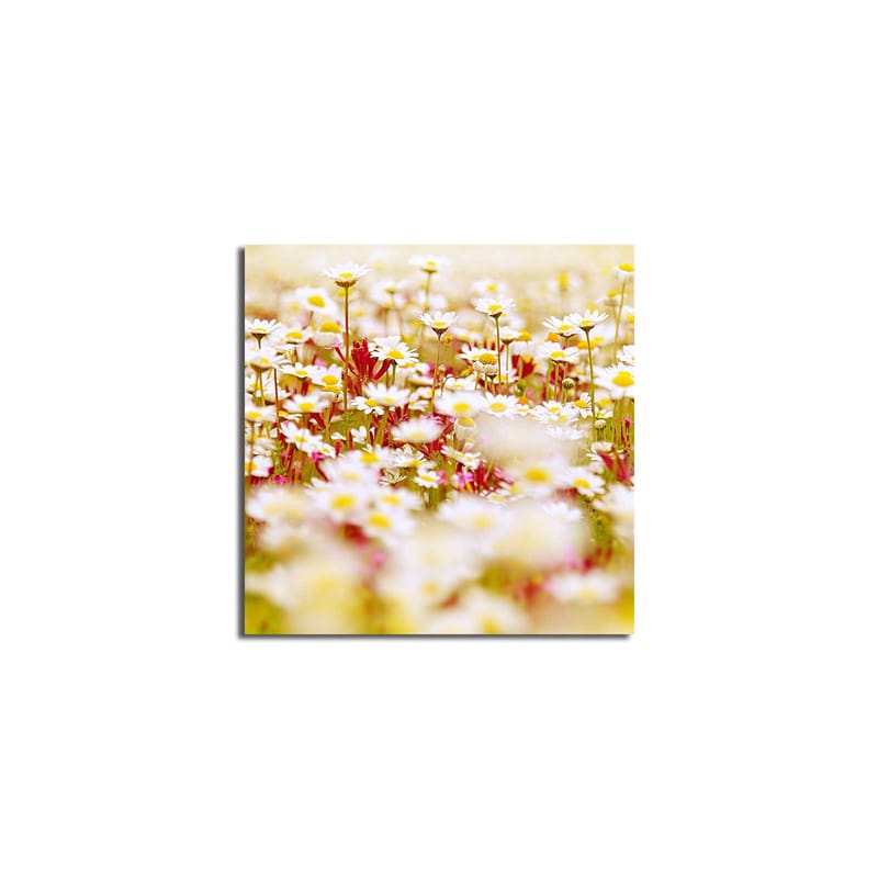 Dekorativ Canvasbilde 45x45 cm - Flerfarget - Interiør - Maleri & posters - Lerretsbilder