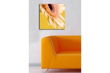 Dekorativ Canvasbilde 45x45 cm - Flerfarget - Interiør - Maleri & posters - Lerretsbilder