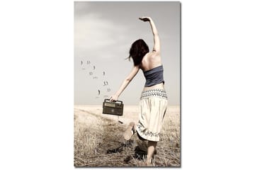 Dekorativ Canvasbilde 45x70 cm - Flerfarget - Interiør - Maleri & posters - Lerretsbilder