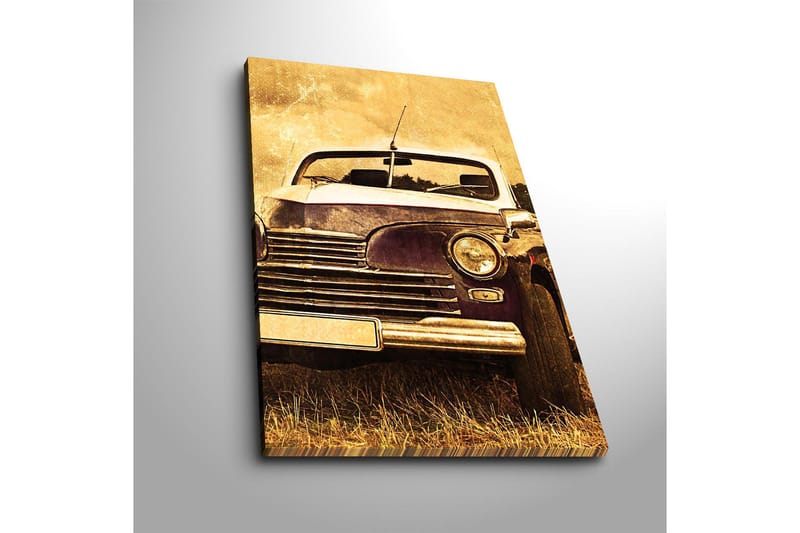Dekorativ Canvasbilde 45x70 cm - Flerfarget - Interiør - Maleri & posters - Lerretsbilder