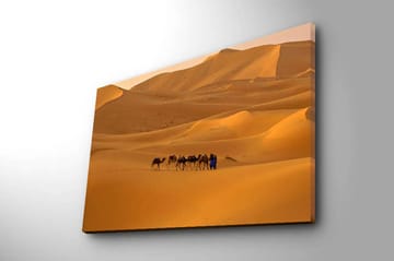 Dekorativ Canvasbilde 45x70 cm - Flerfarget - Interiør - Maleri & posters - Lerretsbilder