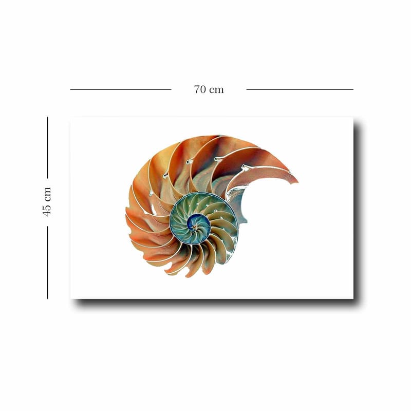 Dekorativ Canvasbilde 45x70 cm - Flerfarget - Interiør - Maleri & posters - Lerretsbilder