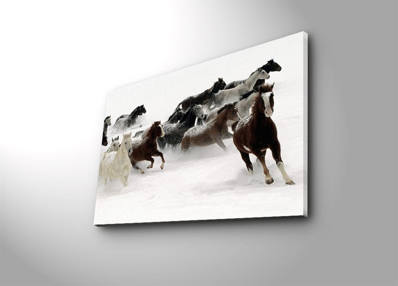Dekorativ Canvasbilde 45x70 cm - Flerfarget - Interiør - Maleri & posters - Lerretsbilder
