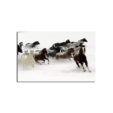 Dekorativ Canvasbilde 45x70 cm - Flerfarget - Interiør - Maleri & posters - Lerretsbilder