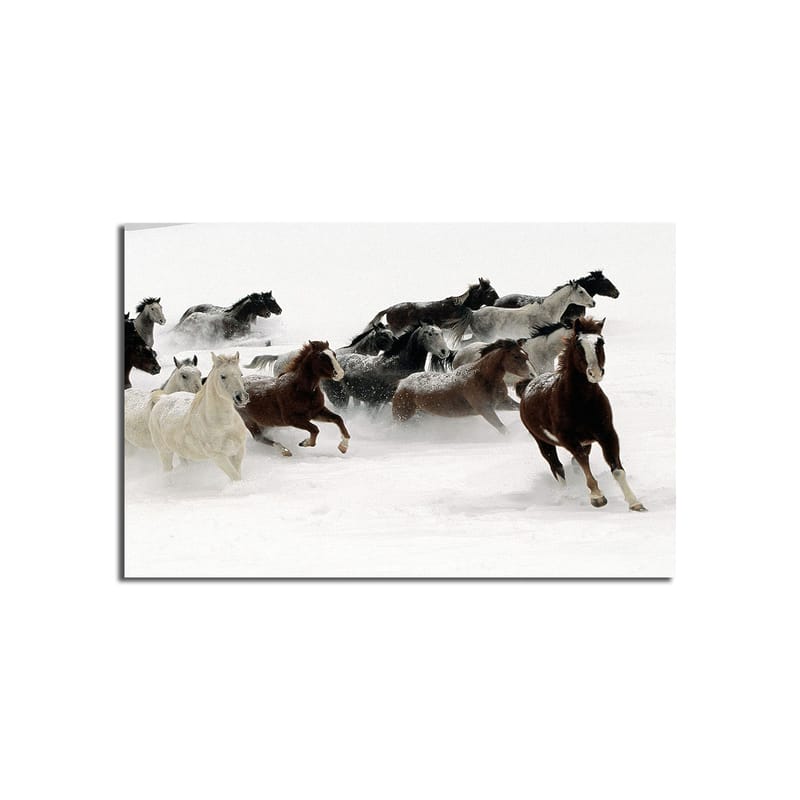 Dekorativ Canvasbilde 45x70 cm - Flerfarget - Interiør - Maleri & posters - Lerretsbilder