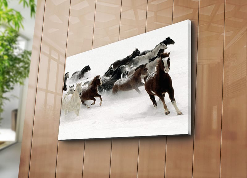 Dekorativ Canvasbilde 45x70 cm - Flerfarget - Interiør - Maleri & posters - Lerretsbilder