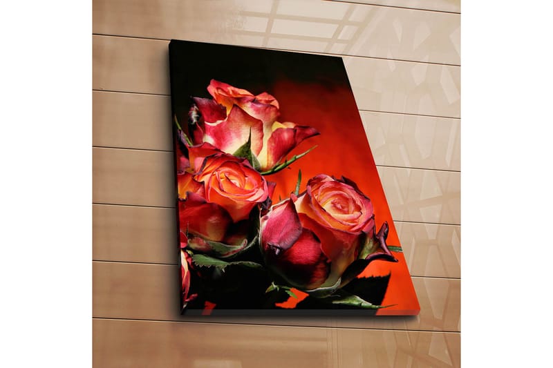 Dekorativ Canvasbilde 45x70 cm - Flerfarget - Interiør - Maleri & posters - Lerretsbilder