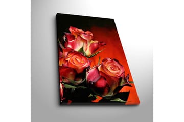 Dekorativ Canvasbilde 45x70 cm - Flerfarget - Interiør - Maleri & posters - Lerretsbilder