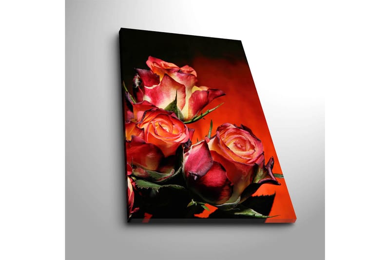 Dekorativ Canvasbilde 45x70 cm - Flerfarget - Interiør - Maleri & posters - Lerretsbilder