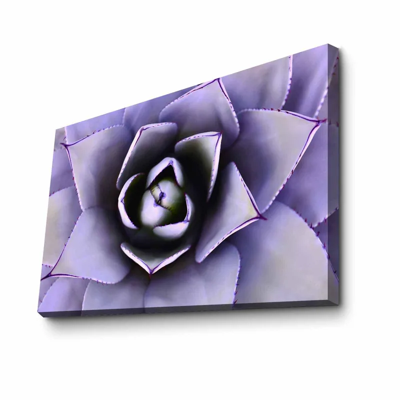 Dekorativ Canvasbilde 45x70 cm, Flerfarget