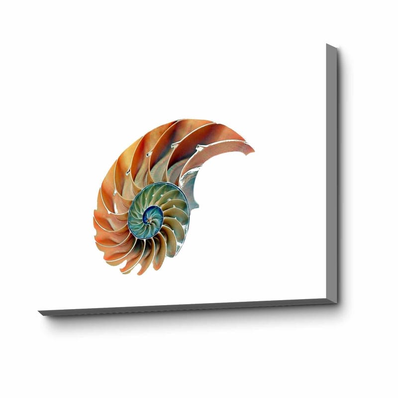 Dekorativ Canvasbilde 45x70 cm, Flerfarget