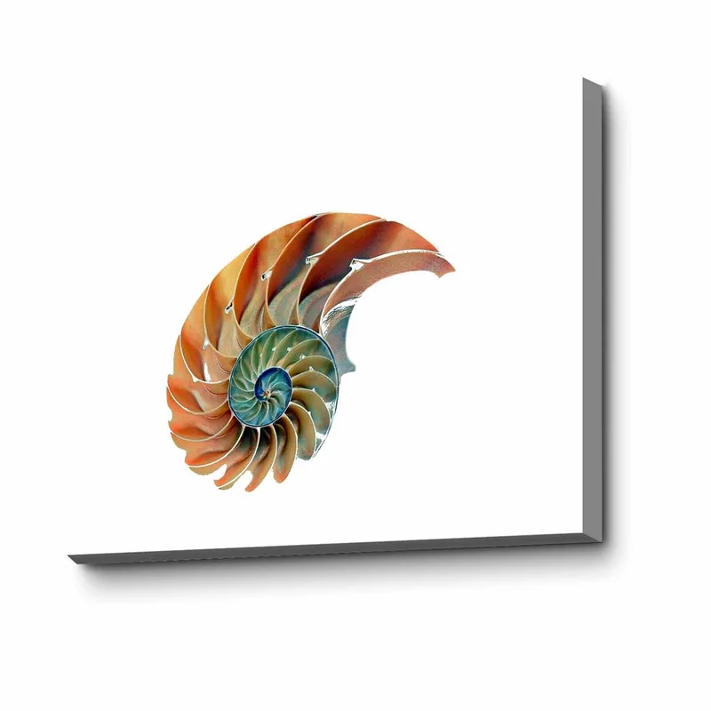 Dekorativ Canvasbilde 45x70 cm, Flerfarget