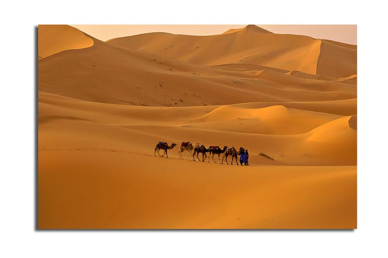 Dekorativ Canvasbilde 45x70 cm, Flerfarget