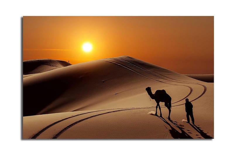 Dekorativ Canvasbilde 45x70 cm, Flerfarget