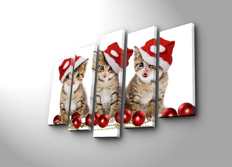 Dekorativ Canvasbilde 5-Deler 19x70 cm - Flerfarget - Interiør - Maleri & posters - Lerretsbilder
