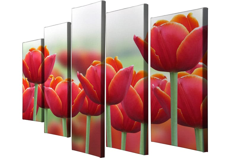 Dekorativ Canvasbilde 5-Deler 70x20 cm - Flerfarget - Interiør - Maleri & posters - Lerretsbilder