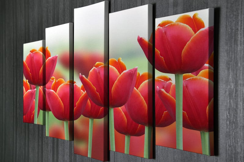 Dekorativ Canvasbilde 5-Deler 70x20 cm - Flerfarget - Interiør - Maleri & posters - Lerretsbilder