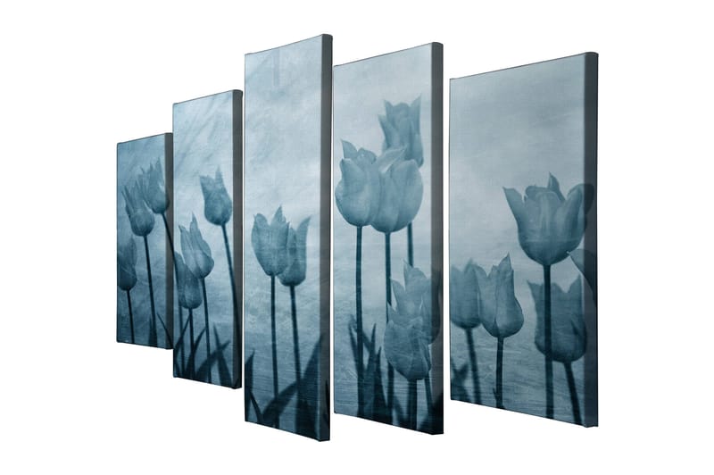 Dekorativ Canvasbilde 5-Deler 70x20 cm - Flerfarget - Interiør - Maleri & posters - Lerretsbilder