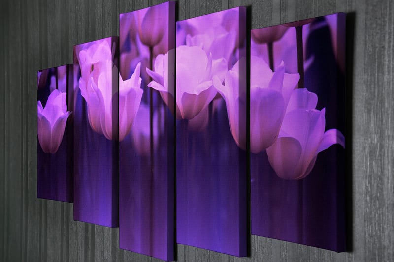 Dekorativ Canvasbilde 5-Deler 70x20 cm - Flerfarget - Interiør - Maleri & posters - Lerretsbilder