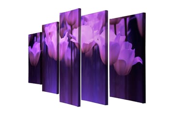 Dekorativ Canvasbilde 5-Deler 70x20 cm - Flerfarget - Interiør - Maleri & posters - Lerretsbilder