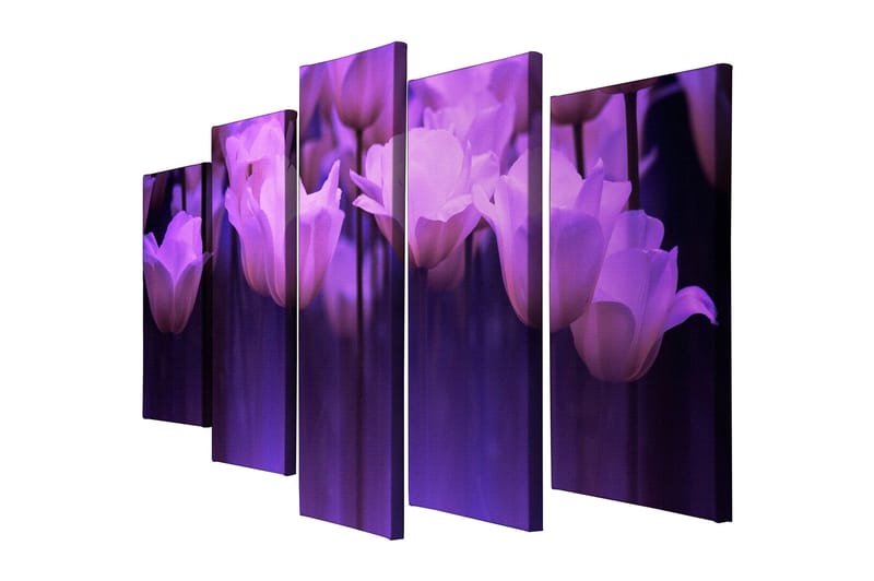 Dekorativ Canvasbilde 5-Deler 70x20 cm - Flerfarget - Interiør - Maleri & posters - Lerretsbilder