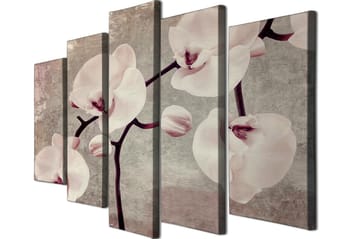 Dekorativ Canvasbilde 5-Deler 70x20 cm - Flerfarget - Interiør - Maleri & posters - Lerretsbilder
