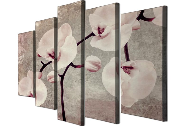 Dekorativ Canvasbilde 5-Deler 70x20 cm - Flerfarget - Interiør - Maleri & posters - Lerretsbilder